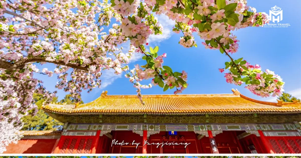 Kinh nghiệm du lịch Bắc Kinh từ A - Z (2026)