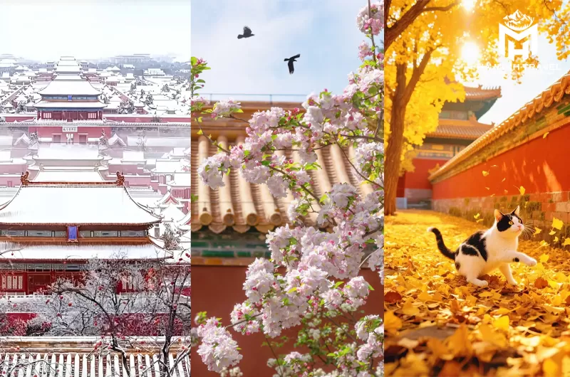 Vẻ đẹp Bắc Kinh c&aacute;c m&ugrave;a