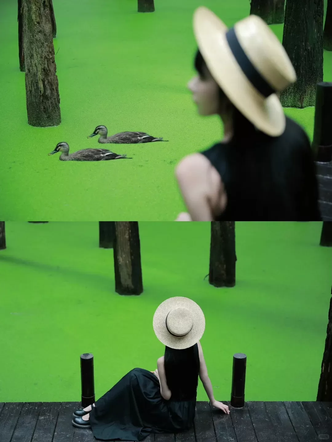 Tour Trung Quốc mùa xuân: Hà Nội - Hàng Châu - Hà Nội 4 ngày 3 đêm