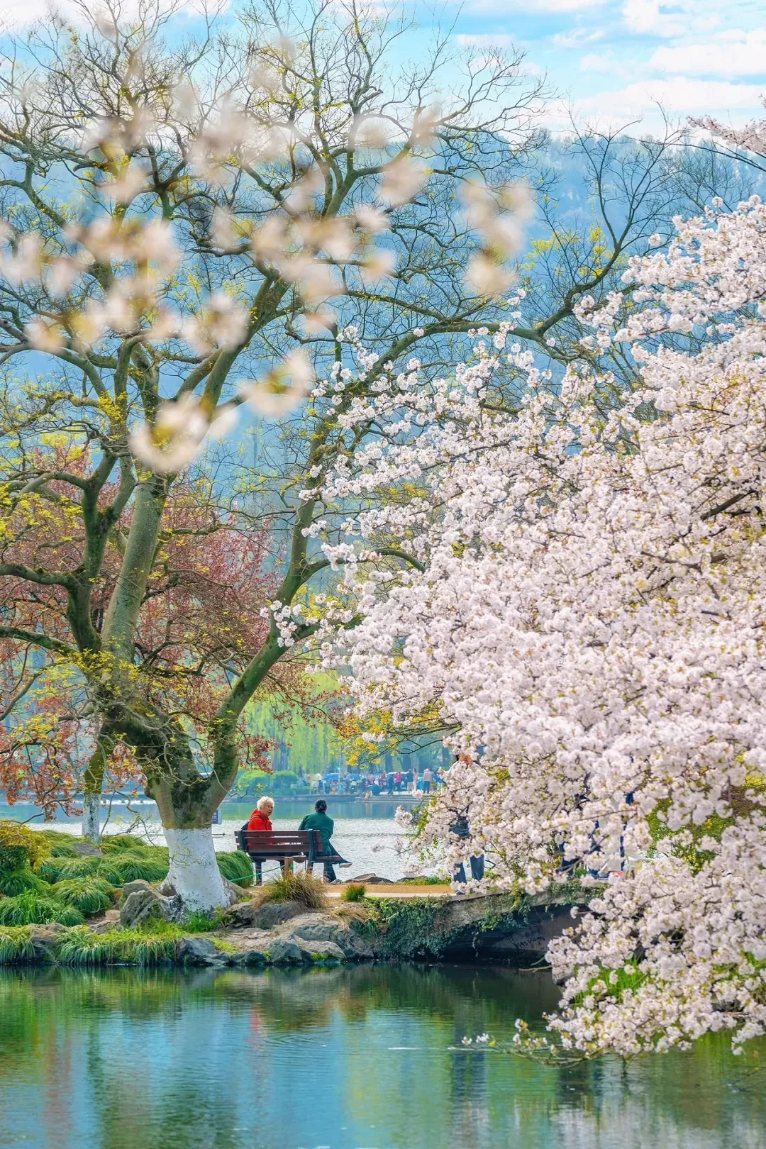 Tour Trung Quốc mùa xuân: Hà Nội - Hàng Châu - Hà Nội 4 ngày 3 đêm