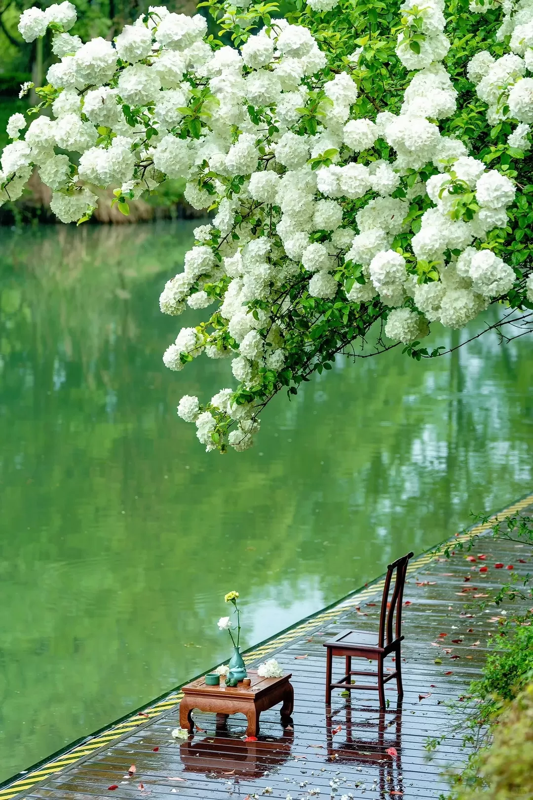 Tour Trung Quốc mùa xuân: Hà Nội - Hàng Châu - Hà Nội 4 ngày 3 đêm