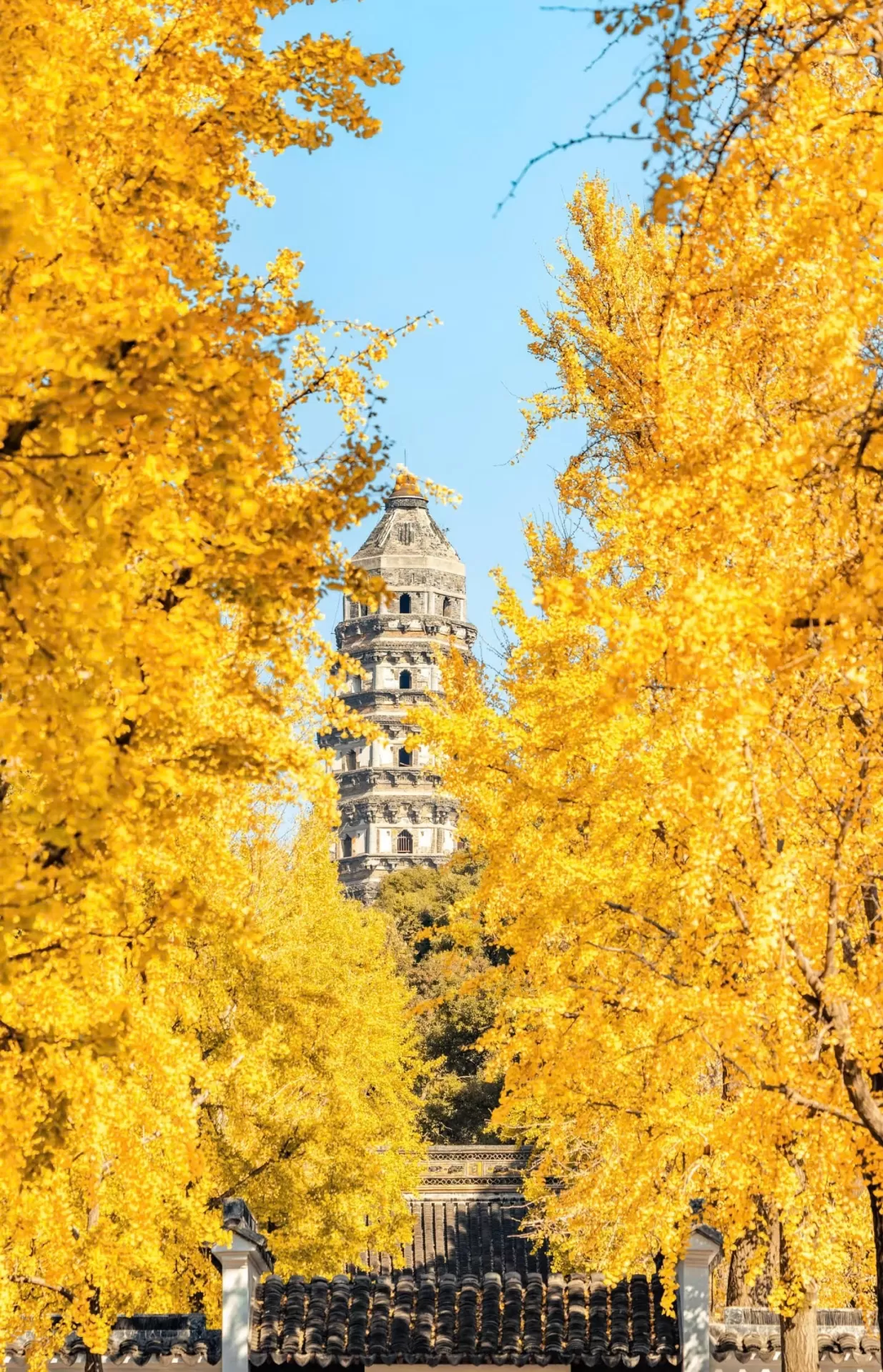 Trung Quốc: Thượng Hải - Vô Tích - Tô Châu - Bắc Kinh