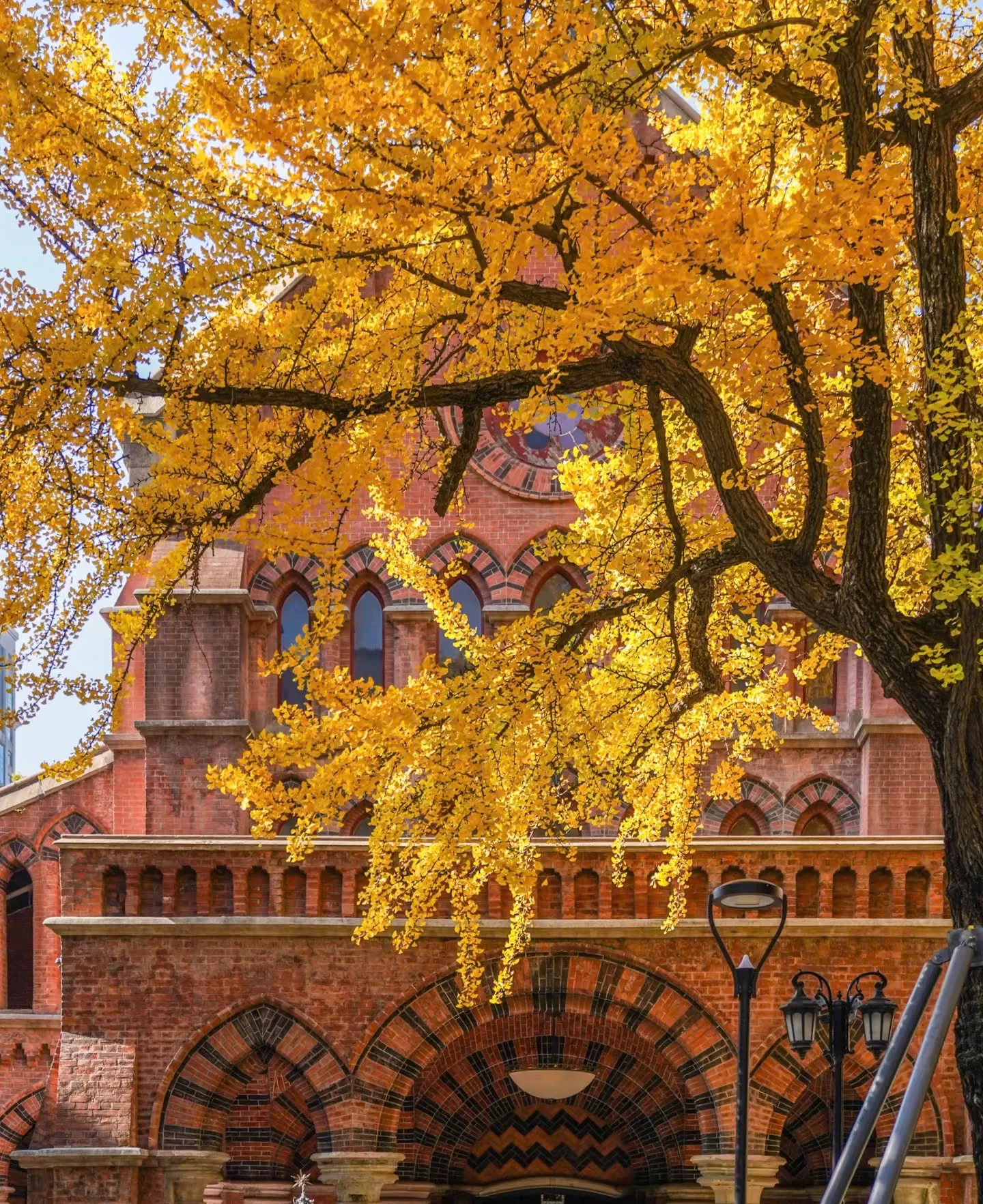 Trung Quốc: Thượng Hải - Vô Tích - Tô Châu - Bắc Kinh