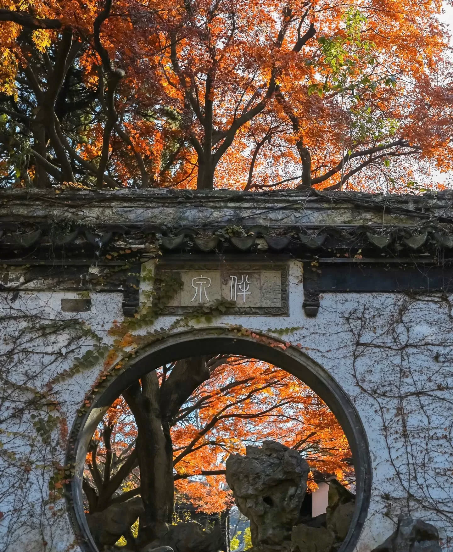 Trung Quốc: Thượng Hải - Vô Tích - Tô Châu - Bắc Kinh