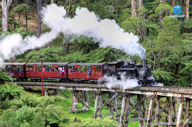 t&agrave;u lửa hơi nước Puffing Billy
