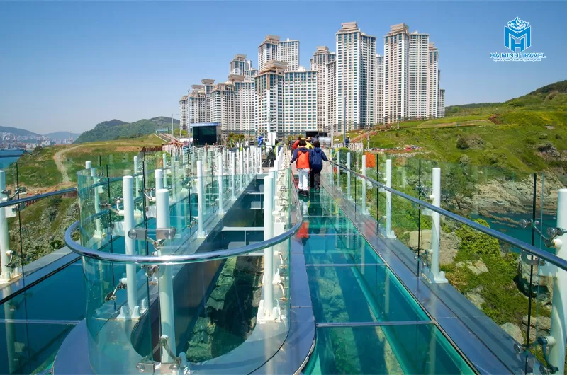 Tour Hàn Quốc hoa anh đào: Hà Nội - Busan - Seoul (6N5Đ)