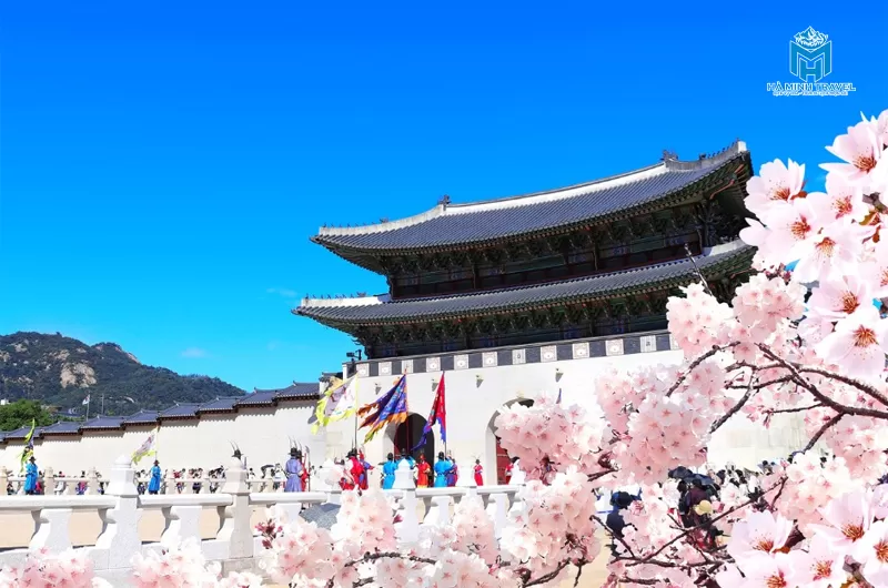 Cung điện Gyeongbok m&ugrave;a xu&acirc;n về