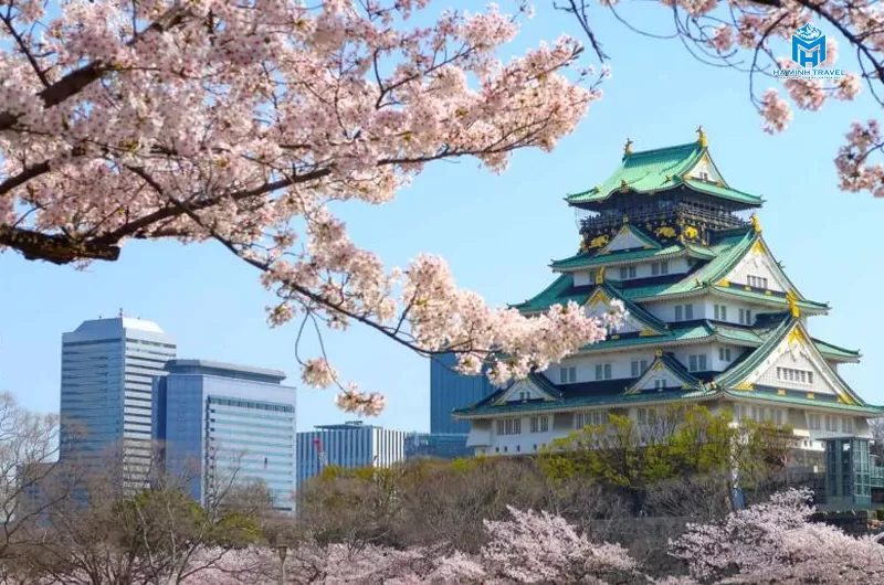 Tour Nhật Bản 30/4 No Shopping: TOKYO – PHÚ SĨ – NAGOYA – KYOTO – OSAKA (6N5Đ)