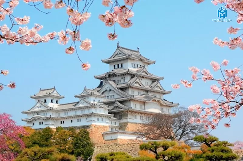 L&acirc;u đ&agrave;i Osaka