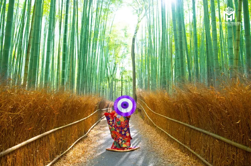 Tour Nhật Bản mùa hoa: OSAKA – NARA – PHÚ SĨ – NAGOYA – KYOTO - OSAKA (6N5Đ)