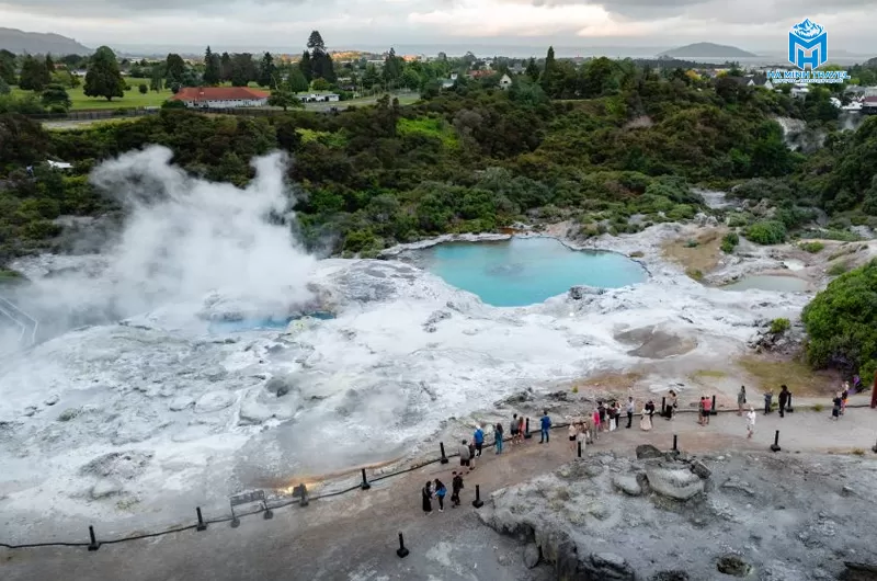Te Puia Thermal Reserve
