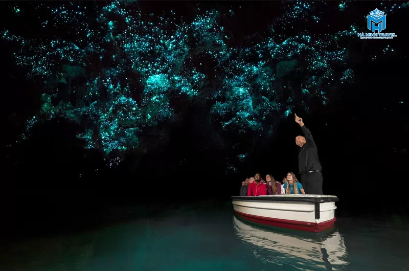 Hang động đom đ&oacute;m Waitomo Glowworm Caves