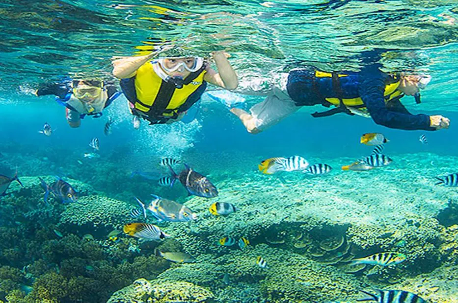 Tour Lặn Biển Hòn Mun Trọn Gói Giá Rẻ Siêu Ưu Đãi