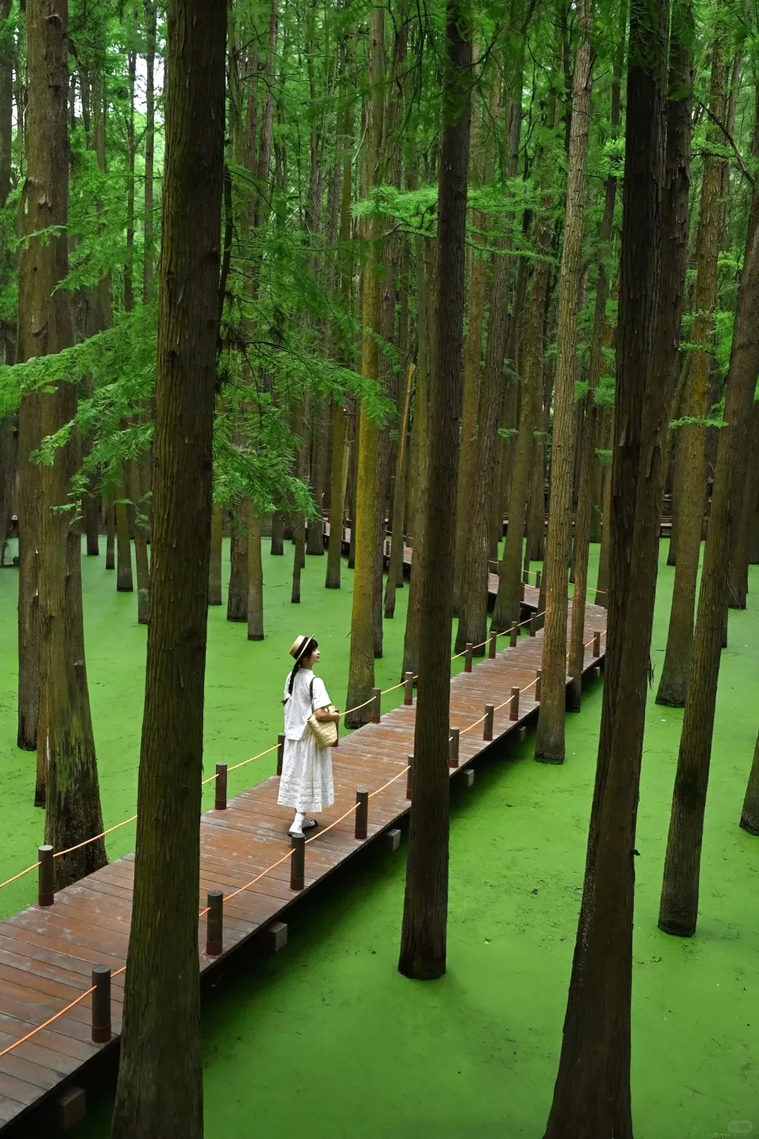 Tour Trung Quốc mùa xuân: Hà Nội - Hàng Châu - Hà Nội 4 ngày 3 đêm