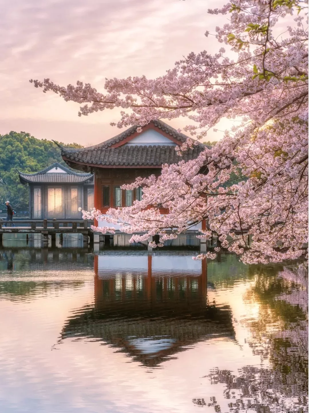 Tour Trung Quốc mùa xuân: Hà Nội - Hàng Châu - Hà Nội 4 ngày 3 đêm