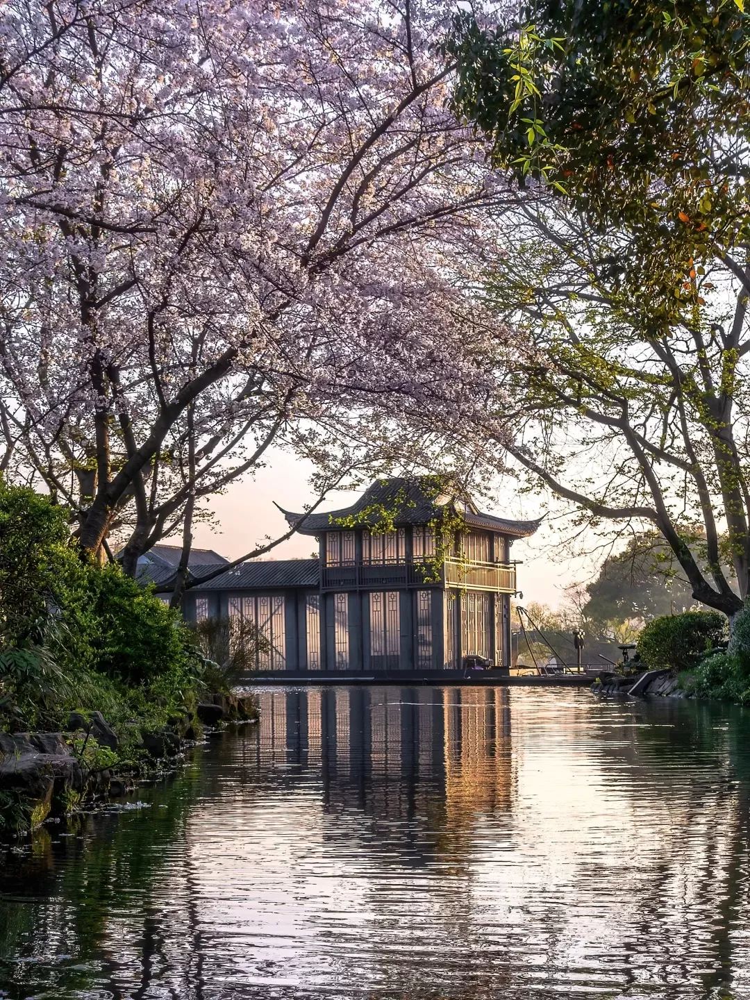 Tour Trung Quốc mùa xuân: Hà Nội - Hàng Châu - Hà Nội 4 ngày 3 đêm