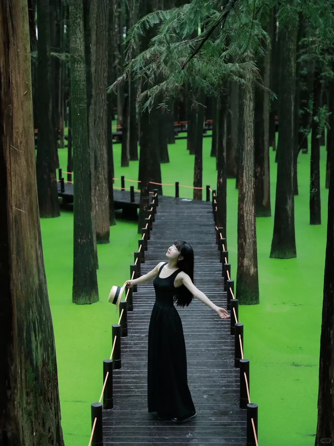 Tour Trung Quốc mùa xuân: Hà Nội - Hàng Châu - Hà Nội 4 ngày 3 đêm