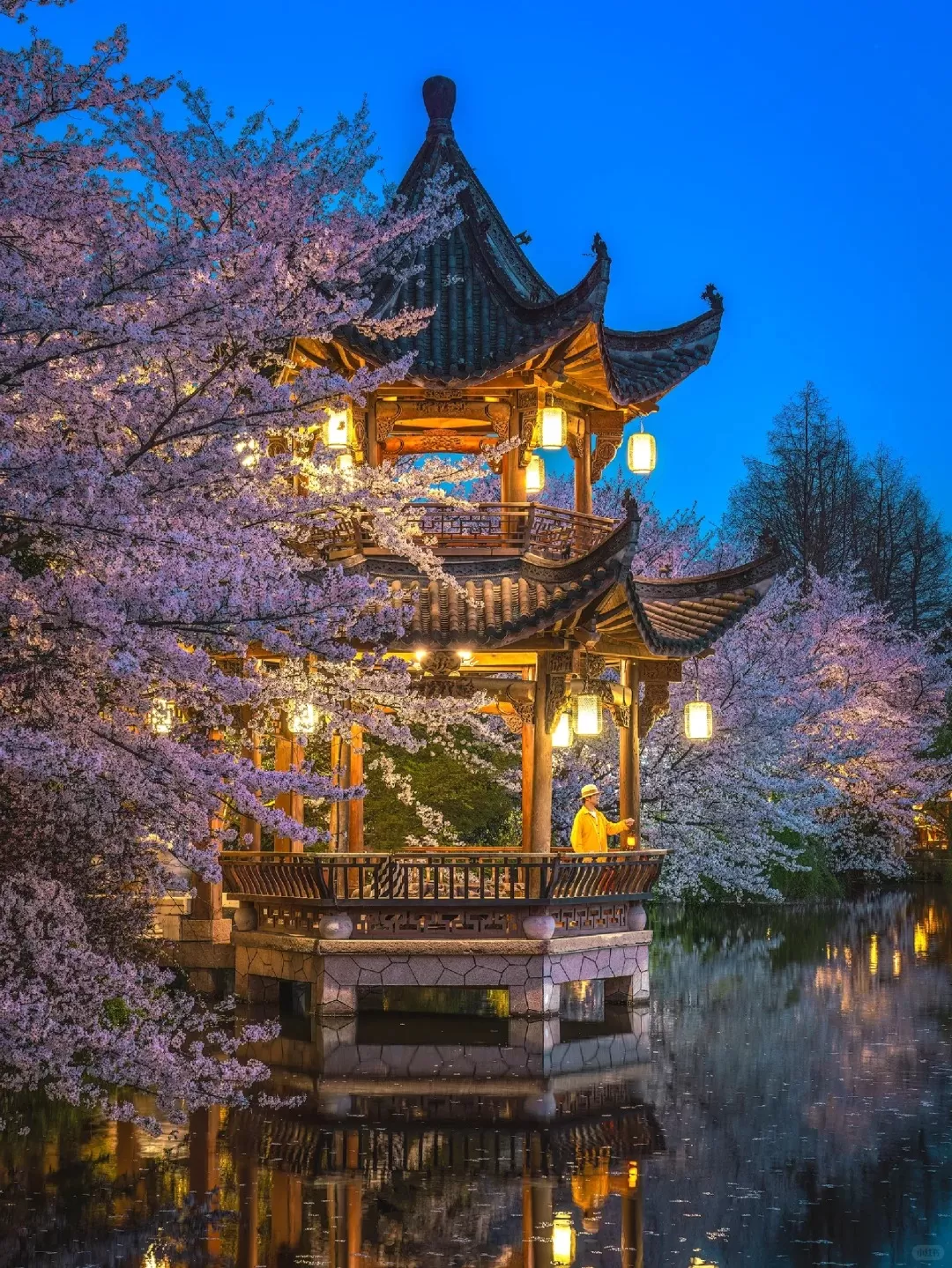 Tour Trung Quốc mùa xuân: Hà Nội - Hàng Châu - Hà Nội 4 ngày 3 đêm