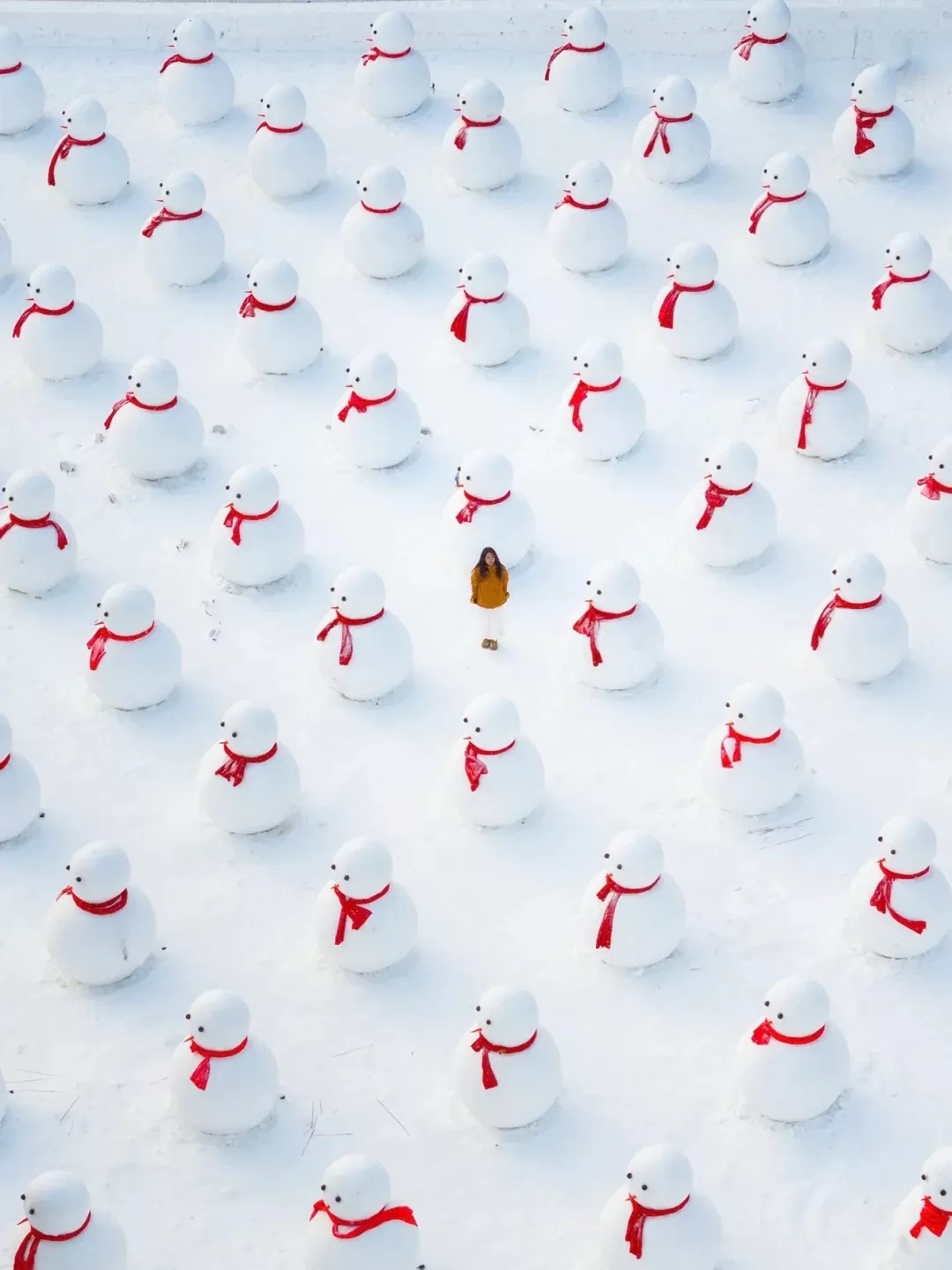 Tour cao cấp đến Núi Trường Bạch 5 ngày 4 đêm