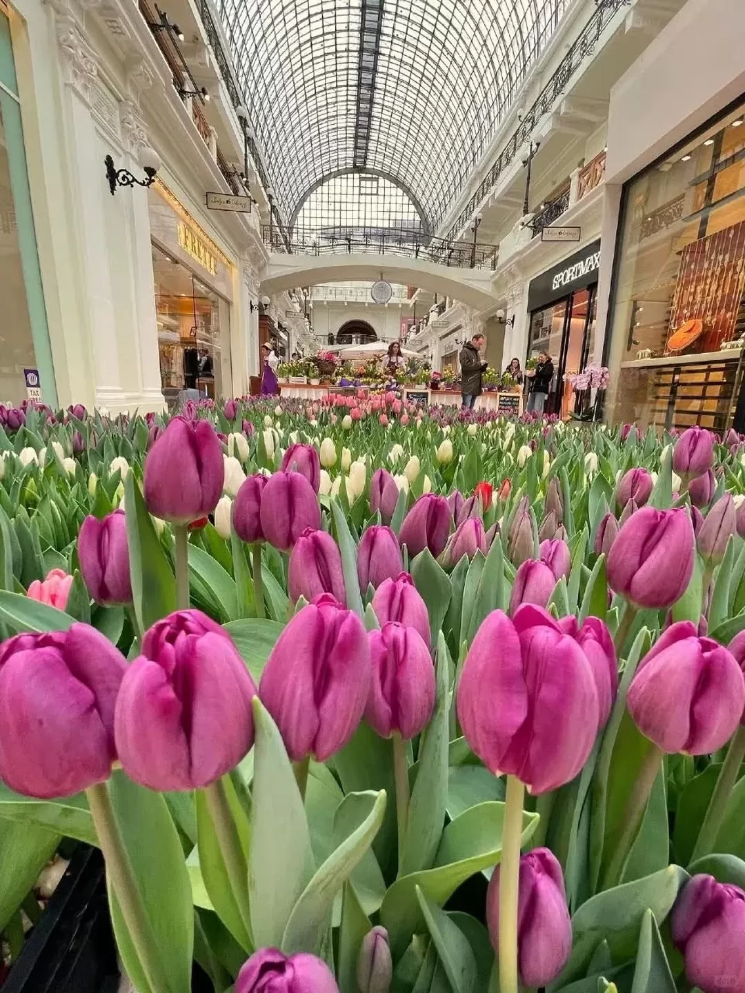 Tour Nga: Moscow – Sergiev Posad – St. Petersburg 10N9D