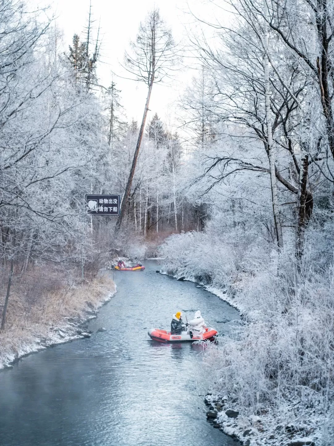 Tour cao cấp đến Núi Trường Bạch 5 ngày 4 đêm