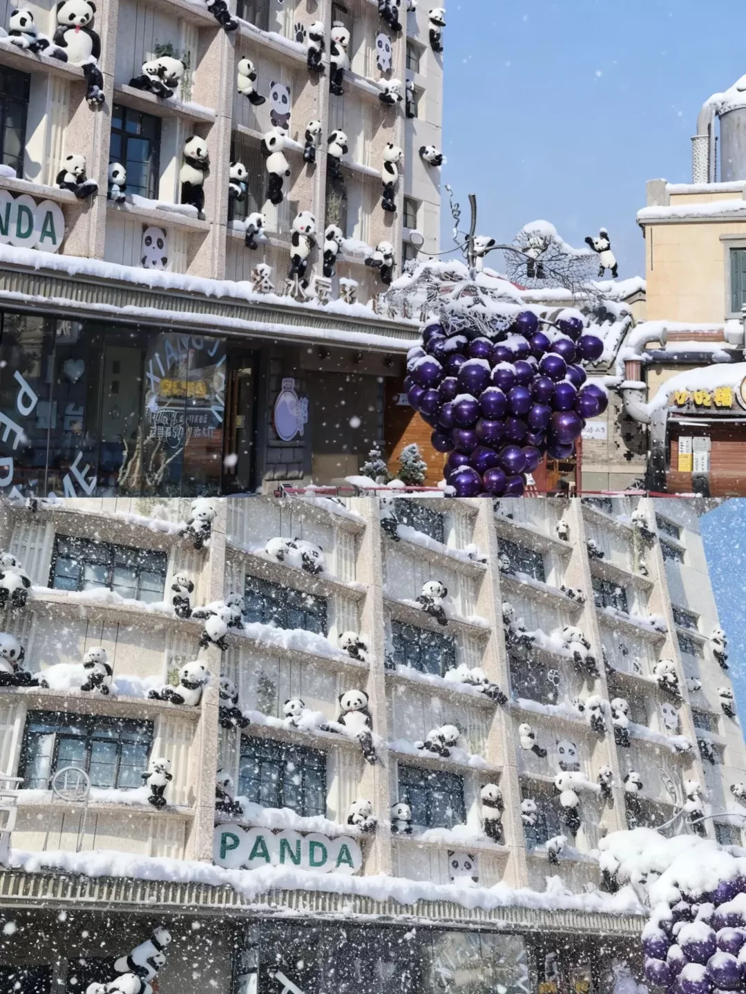 Trung Quốc: Ngắm tuyết tại