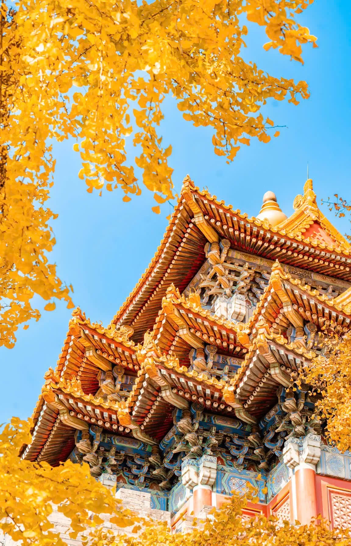 Trung Quốc: Thượng Hải - Vô Tích - Tô Châu - Bắc Kinh