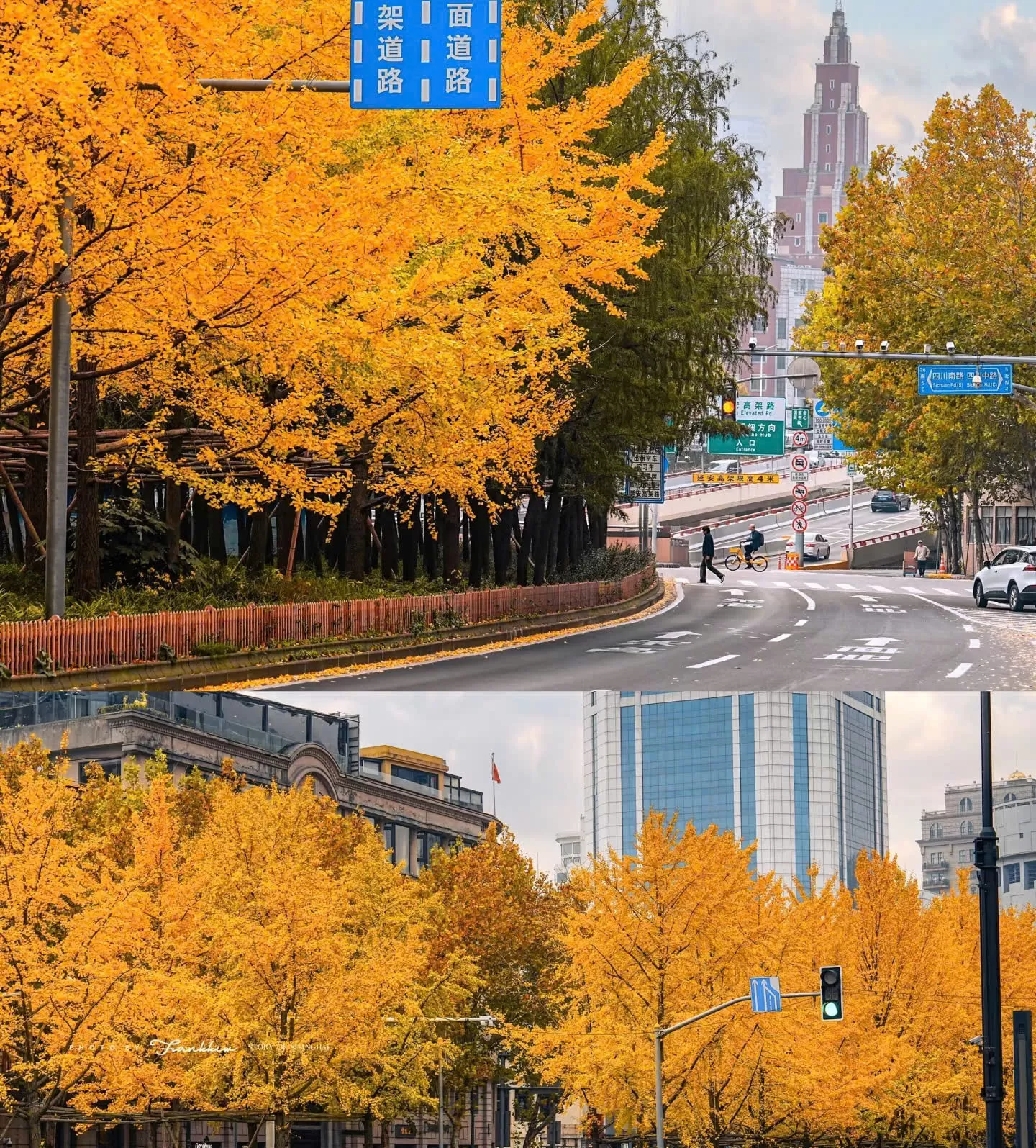 Trung Quốc: Thượng Hải - Vô Tích - Tô Châu - Bắc Kinh