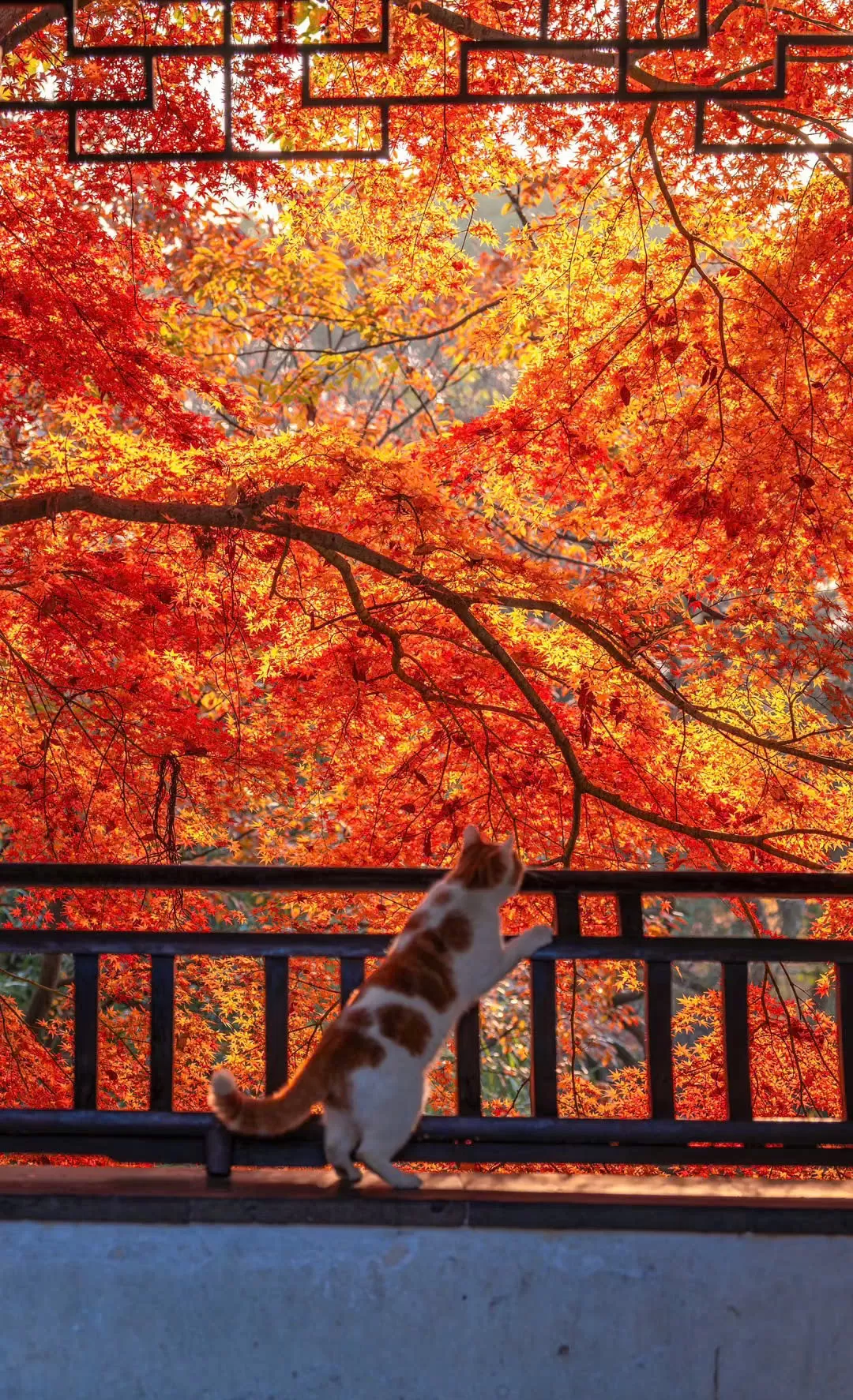 Trung Quốc: Thượng Hải - Vô Tích - Tô Châu - Bắc Kinh