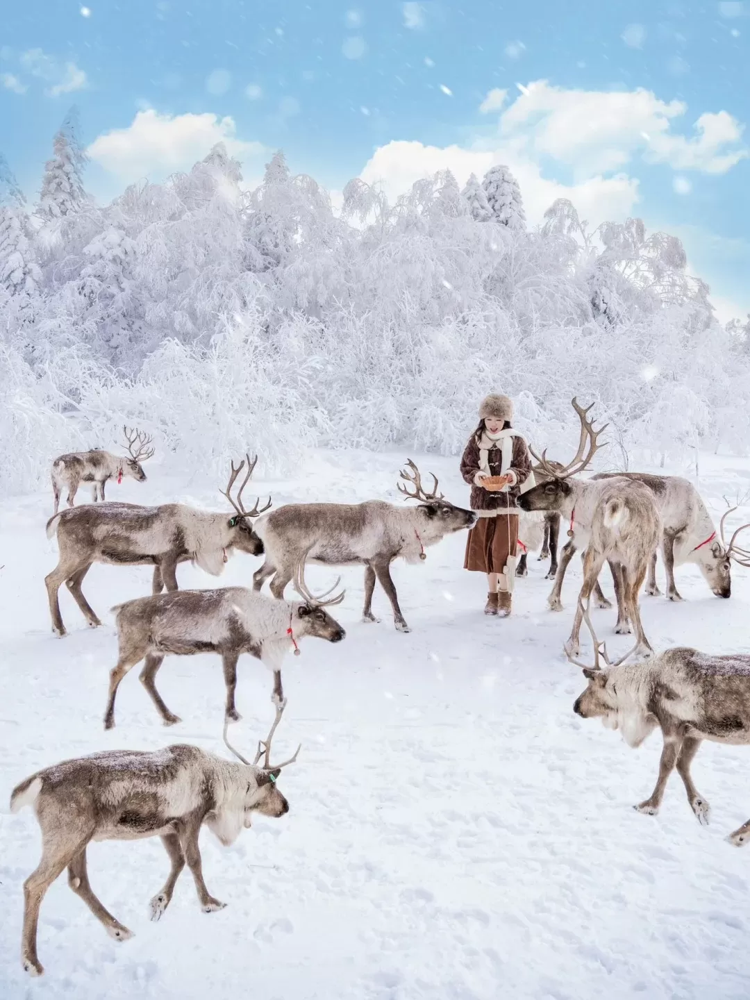 Tour cao cấp đến Núi Trường Bạch 5 ngày 4 đêm