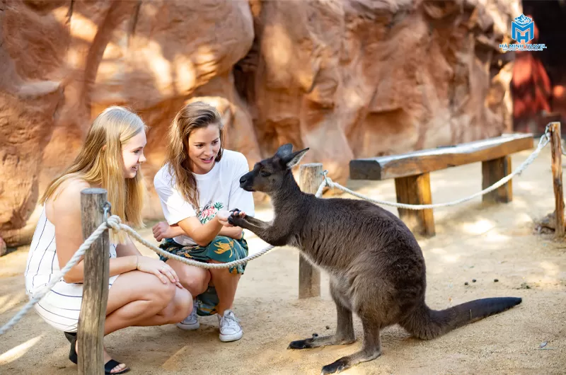 Tour Úc 30/4: SYDNEY – CANBERRA -  MELBOURNE (7N6Đ)