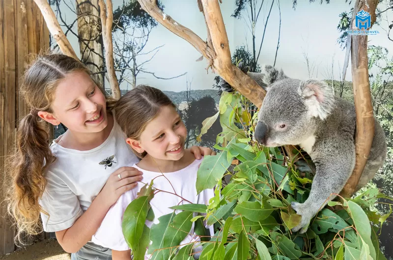 Tour Úc 30/4: SYDNEY – CANBERRA -  MELBOURNE (7N6Đ)