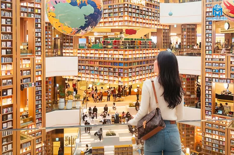 Tour Hàn Quốc hoa anh đào: Seoul - Nami - Tháp Namsan - Everland - CV Yeouido - Rừng Seoul (5N4Đ)