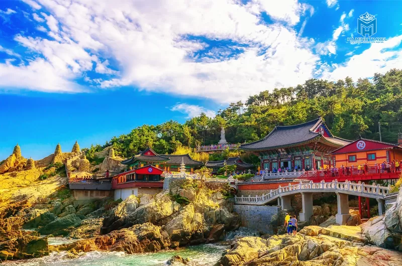 Tour Hàn Quốc hoa anh đào: Hà Nội - Busan - Seoul (6N5Đ)