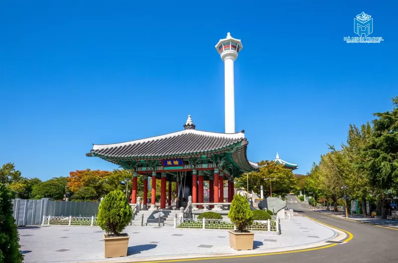 Tour Hàn Quốc hoa anh đào: Hà Nội - Busan - Seoul (6N5Đ)