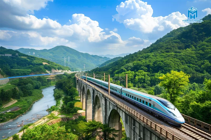 Tour Hàn Quốc hoa anh đào: Hà Nội - Busan - Seoul (6N5Đ)