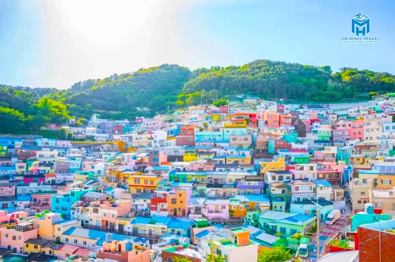 Tour Hàn Quốc hoa anh đào: Hà Nội - Busan - Seoul (6N5Đ)