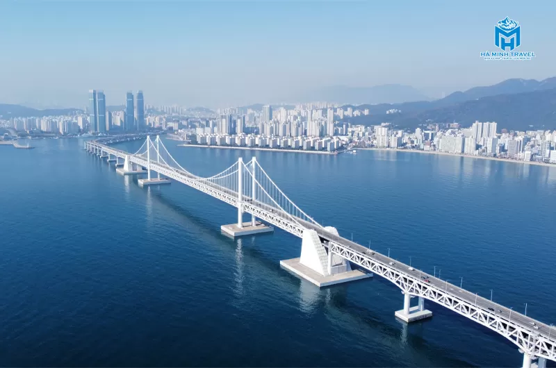 Tour Hàn Quốc hoa anh đào: Hà Nội - Busan - Seoul (6N5Đ)