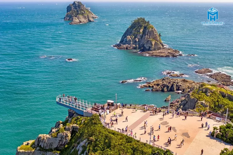 Tour Hàn Quốc hoa anh đào: Hà Nội - Busan - Seoul (6N5Đ)