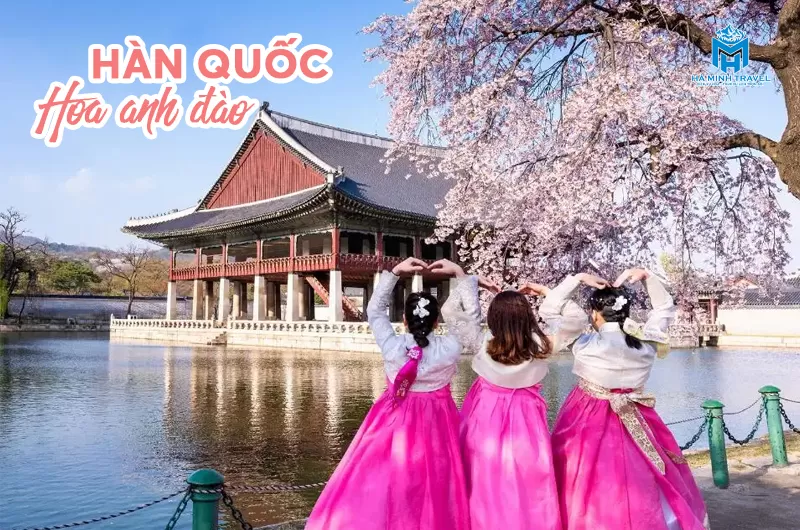 Tour Hàn Quốc hoa anh đào: Seoul - Nami - Everland (5N4Đ)