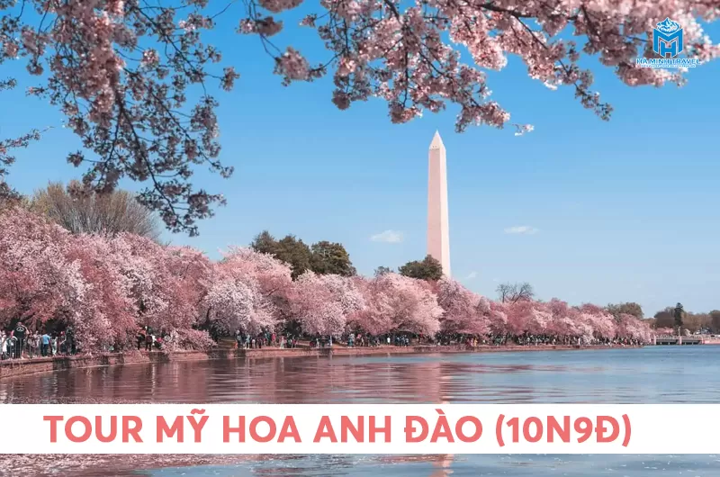 Tour Mỹ hoa anh đào: Liên tuyến Đông Tây (10N9Đ)