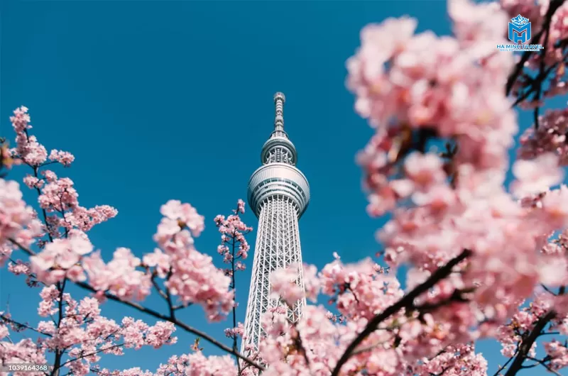 Tour Nhật Bản 30/4 No Shopping: TOKYO – PHÚ SĨ – NAGOYA – KYOTO – OSAKA (6N5Đ)