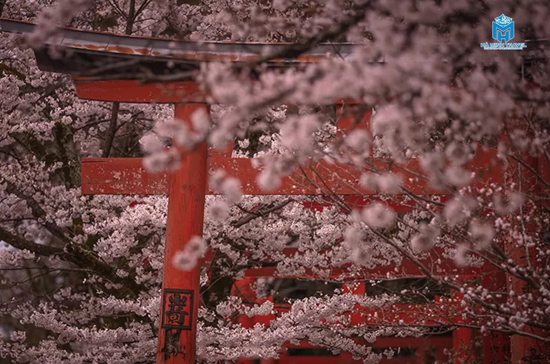 Tour Nhật Bản 30/4 No Shopping: TOKYO – PHÚ SĨ – NAGOYA – KYOTO – OSAKA (6N5Đ)