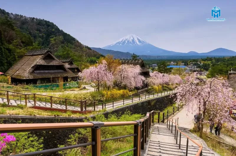 Tour Nhật Bản 30/4 No Shopping: TOKYO – PHÚ SĨ – NAGOYA – KYOTO – OSAKA (6N5Đ)