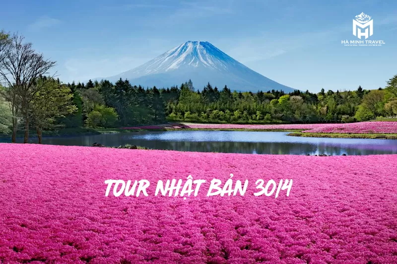 Tour Nhật Bản 30/4 No Shopping: KOBE – OSAKA – KYOTO – NAGOYA – PHÚ SĨ – TOKYO (6N5Đ)
