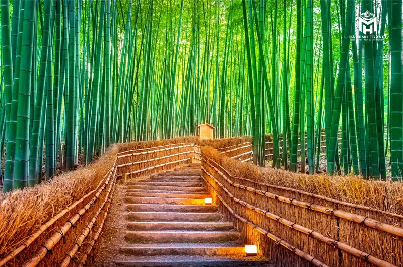 Tour Nhật Bản mùa hoa: OSAKA – NARA – PHÚ SĨ – NAGOYA – KYOTO - OSAKA (6N5Đ)