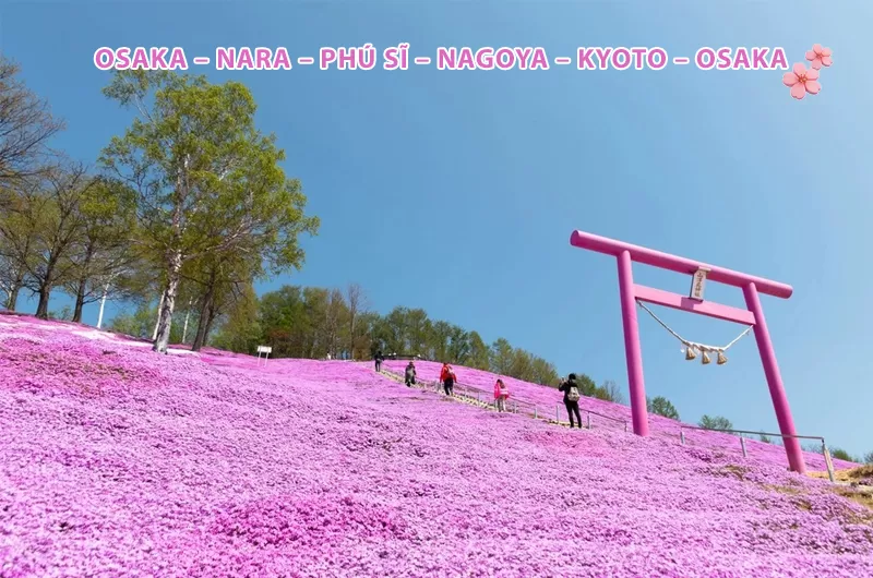 Tour Nhật Bản mùa hoa: OSAKA – NARA – PHÚ SĨ – NAGOYA – KYOTO - OSAKA (6N5Đ)