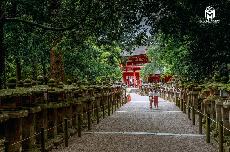 Tour Nhật Bản mùa hoa: OSAKA – NARA – PHÚ SĨ – NAGOYA – KYOTO - OSAKA (6N5Đ)