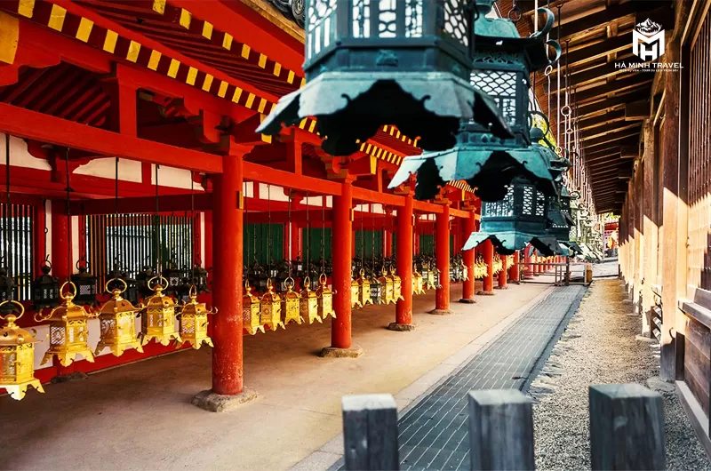 Tour Nhật Bản mùa hoa: OSAKA – NARA – PHÚ SĨ – NAGOYA – KYOTO - OSAKA (6N5Đ)