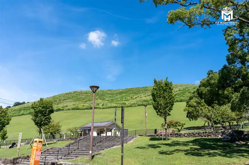 Tour Nhật Bản mùa hoa: OSAKA – NARA – PHÚ SĨ – NAGOYA – KYOTO - OSAKA (6N5Đ)